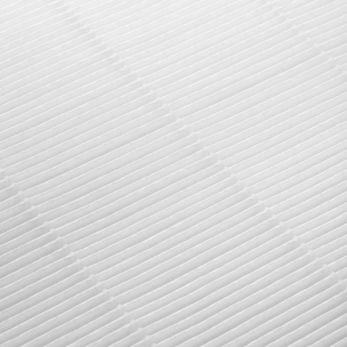 Cassette dust filter for Momo P10 Pro dust absorber, BVShop brand, shown in image 155499_02_2601.