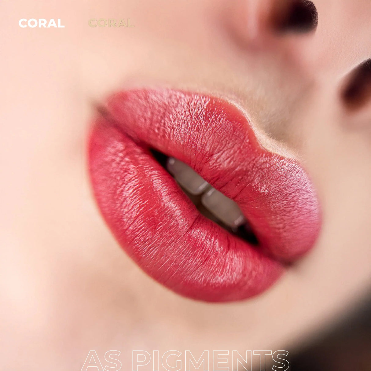 AS COMPANY Coral/Concentrate (AS Pigments) 6/12ml - BVShop
