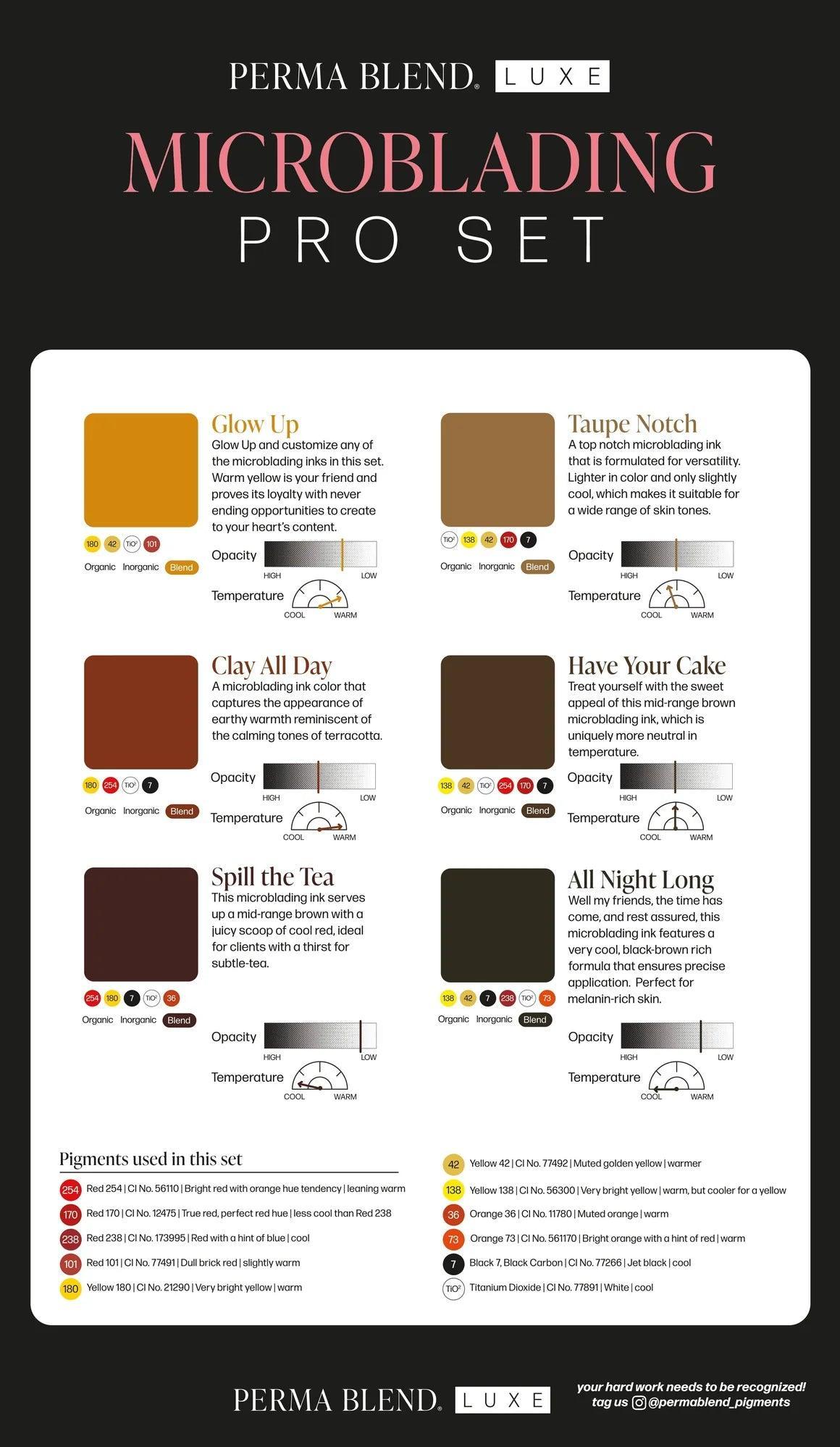 Perma Blend Microblading Pro Pigments Clay All Day 10ml - BVShop