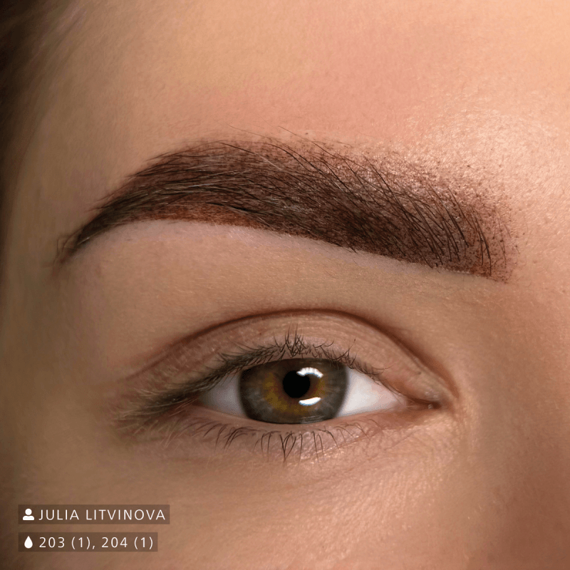 Swiss Color 203 Chocolate Brown Eyebrow Pigment - BVShop