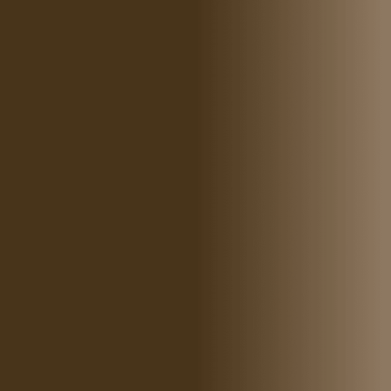 Swiss Color 206 Cocoa Brown Eyebrow Pigment - BVShop