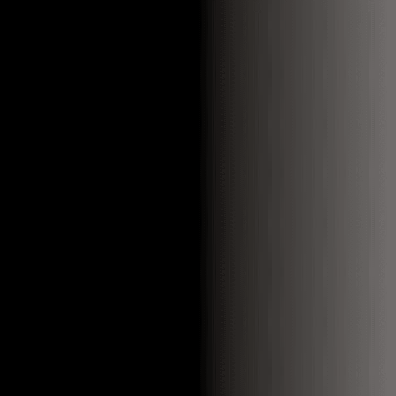 Swiss Color 301 Ultrablack Eyeliner Pigment - BVShop