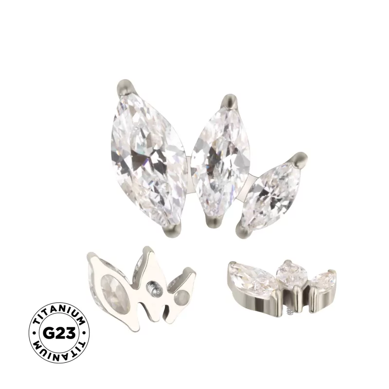 Titanium Ring Arranged Marquise