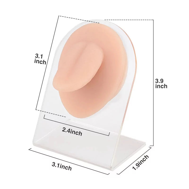 Tongue Piercing Silicone Model