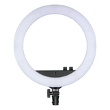 Lighting & Photo Equipment