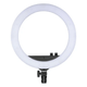 Lighting & Photo Equipment
