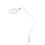 Elegante 6031 magnifying lamp with clamp mount for salon work