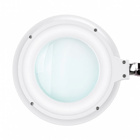 Elegante 6031 professional magnifying lamp for lash and beauty services