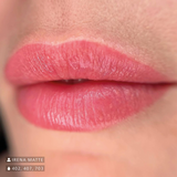 Swiss Color 407 Soft Terra Lip Pigment
