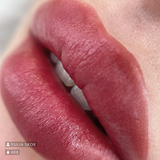 Swiss Color 408 Maroon Red Lip Pigment