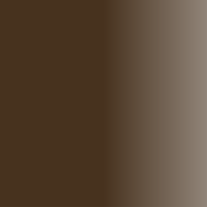 Swiss Color 715 Classic Brown Eyebrow Pigment