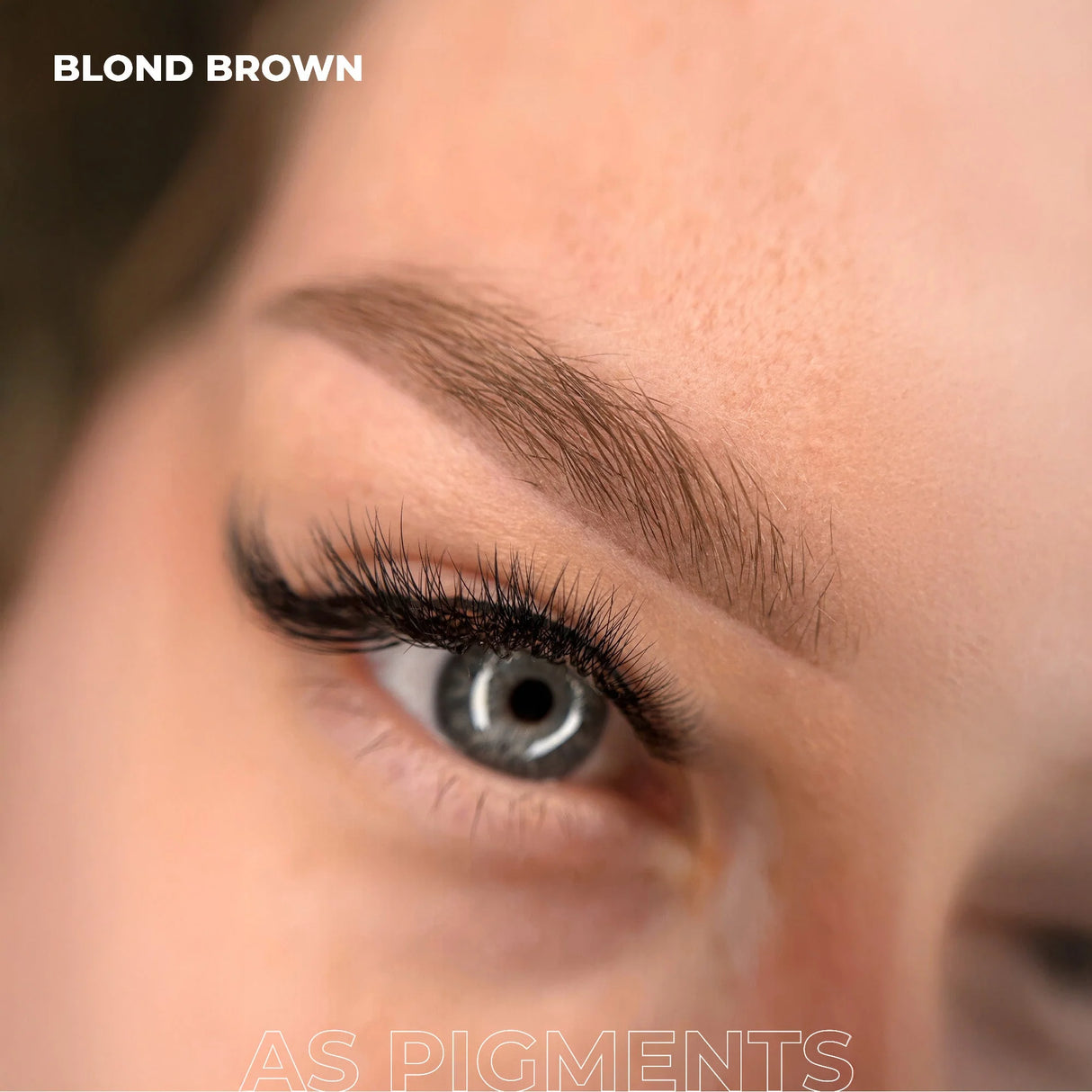 AS COMPANY Blond Brown (AS Pigments) 6/12ml - BVShop