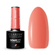 CLARESA hybrid varnish SUMMER STORIES 5 -5g - BVShop