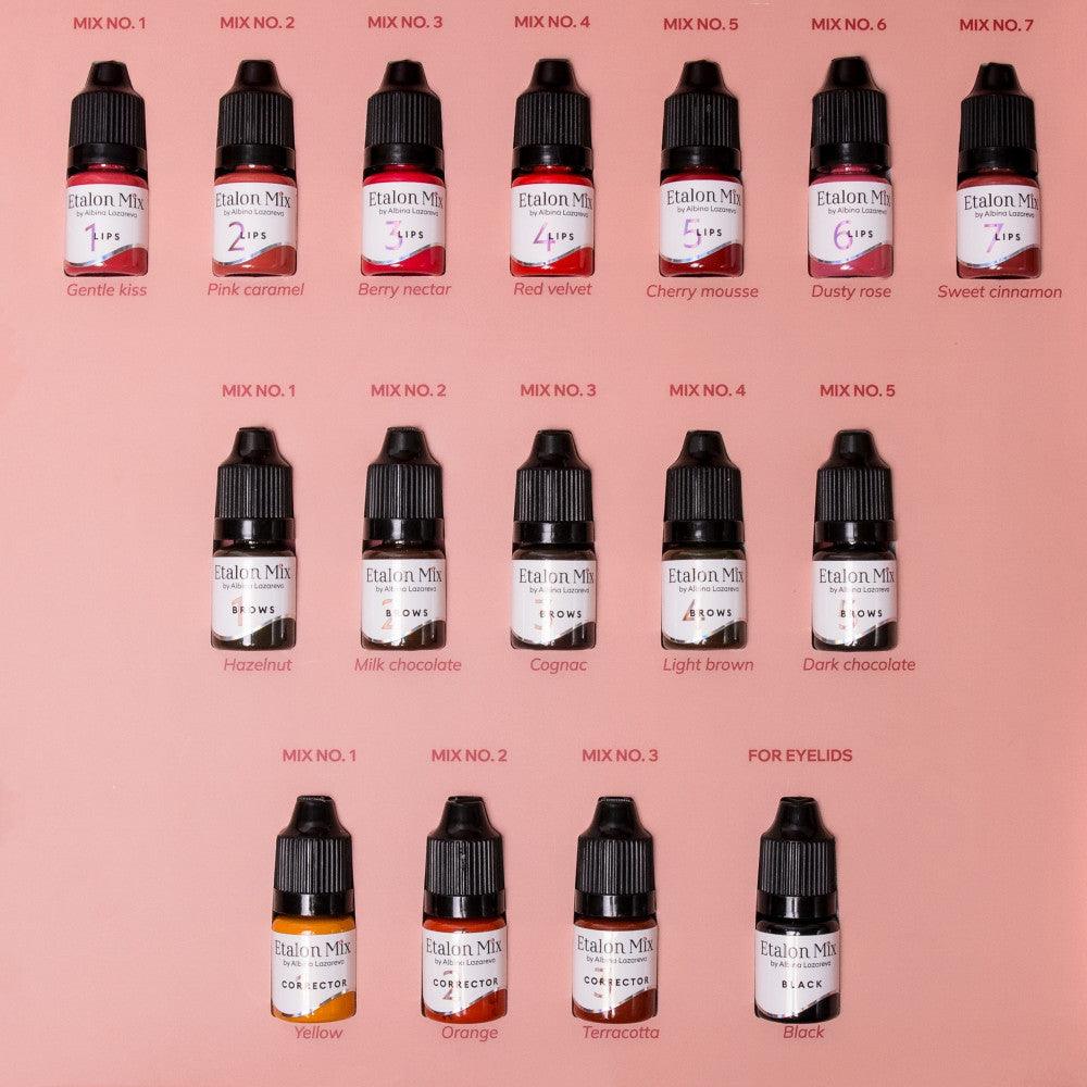 Etalon Mix Big Pigment Set By Albina Lazareva 16x5ml – BVShop