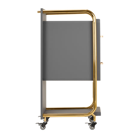 GABBIANO HAIRDRESSER TROLLEY SOLO GOLD GRAY - BVShop