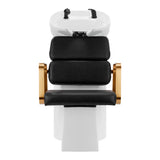 Gabbiano Porto hair wash unit gold black - BVShop