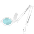 LED magnifying lamp moonlight 8013/6 "white for the table top - BVShop