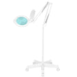 Moonlight 8013/6 "white LED magnifier lamp with a tripod - BVShop
