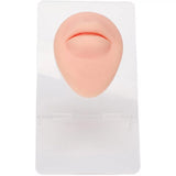 Mouth Piercing Silicone Model