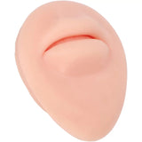 Mouth Piercing Silicone Model