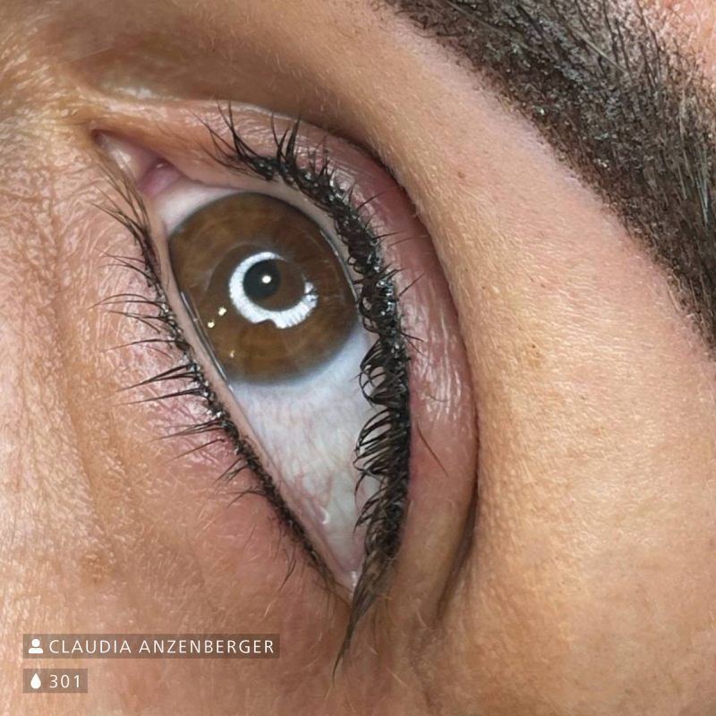 Swiss Color 301 Ultrablack Eyeliner Pigment