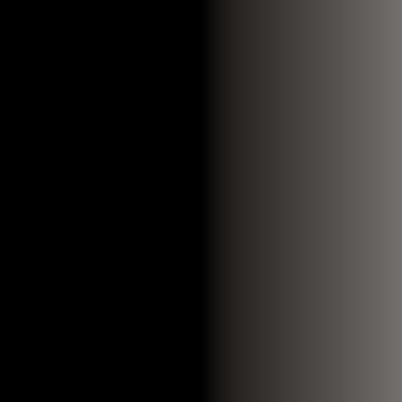 Swiss Color 301 Ultrablack Eyeliner Pigment