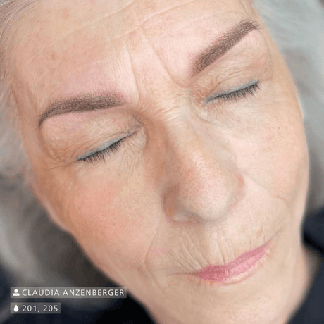 Swiss Color 201 Honey Brown Eyebrow Pigment - BVShop