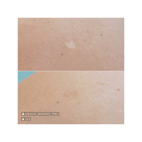 Swiss Color 709 Dark Beige Camouflage Pigment - BVShop