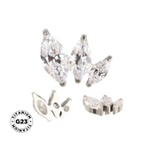 Titanium Ring Arranged Marquise