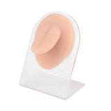 Tongue Piercing Silicone Model