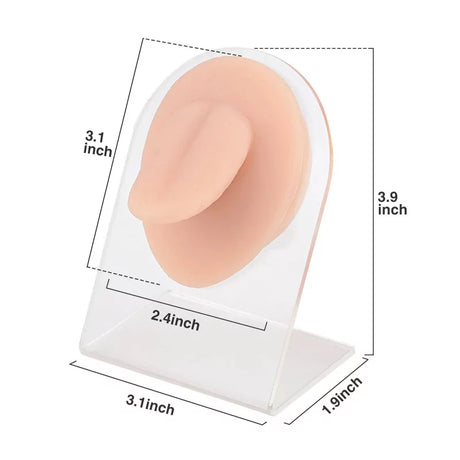Tongue Piercing Silicone Model